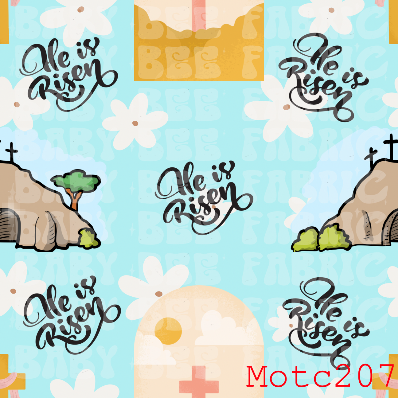 MOTC207
