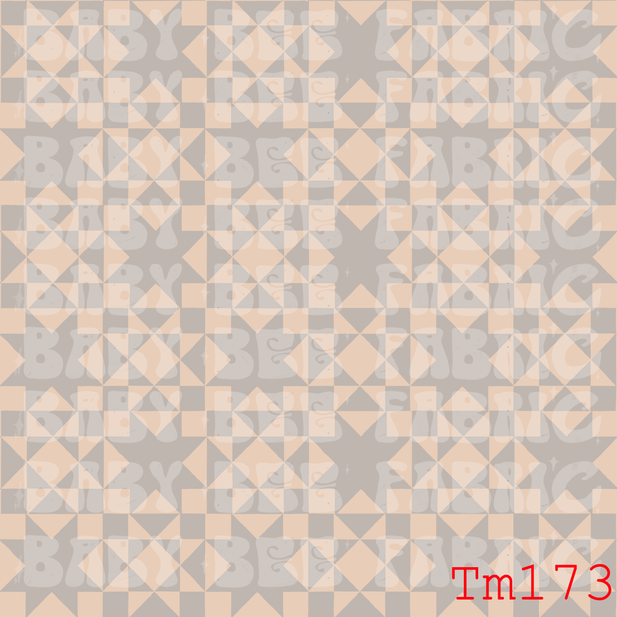 TM173