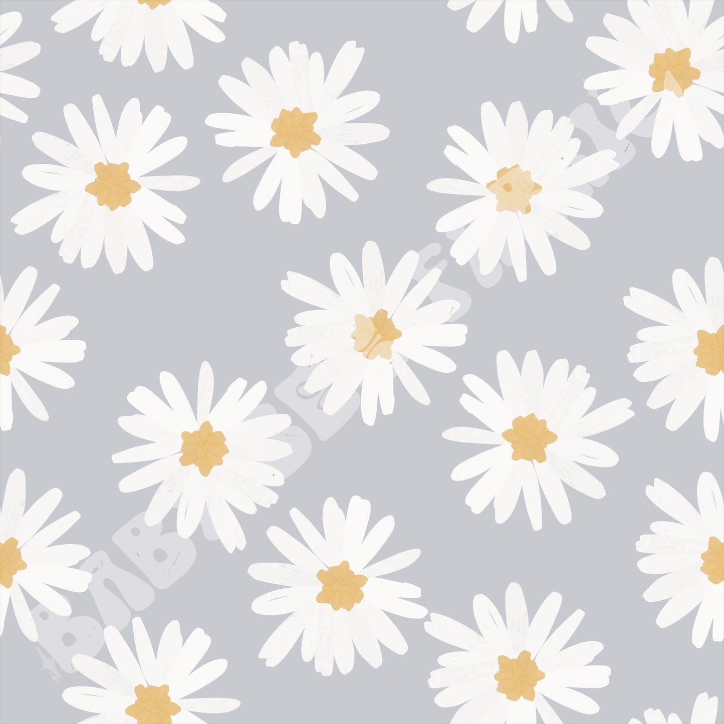 Lavender Daisy