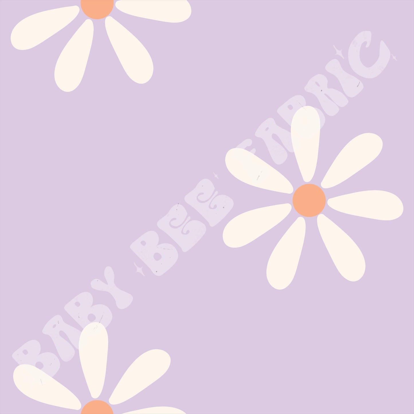 Purple and white daisy