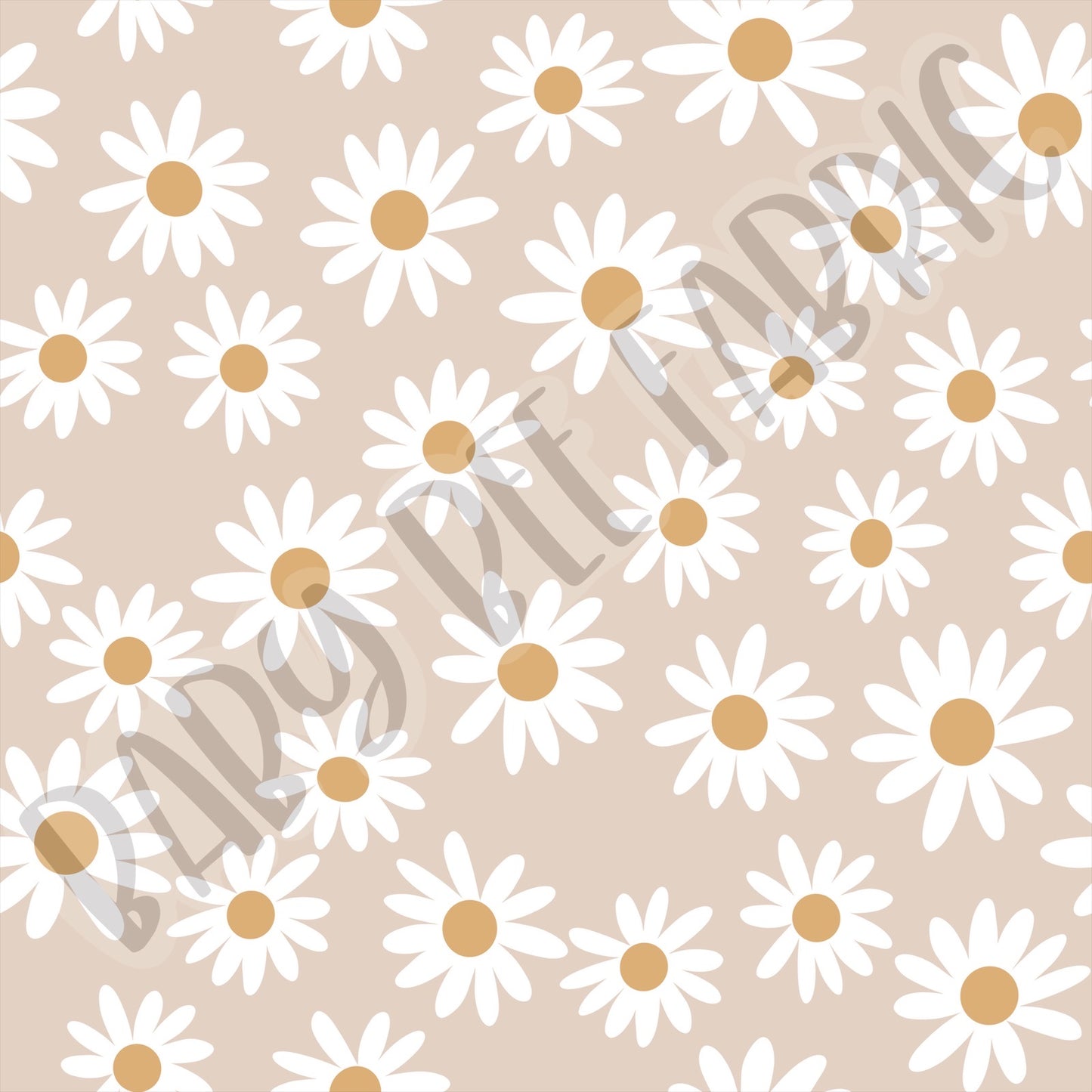 Daisy Pre Order