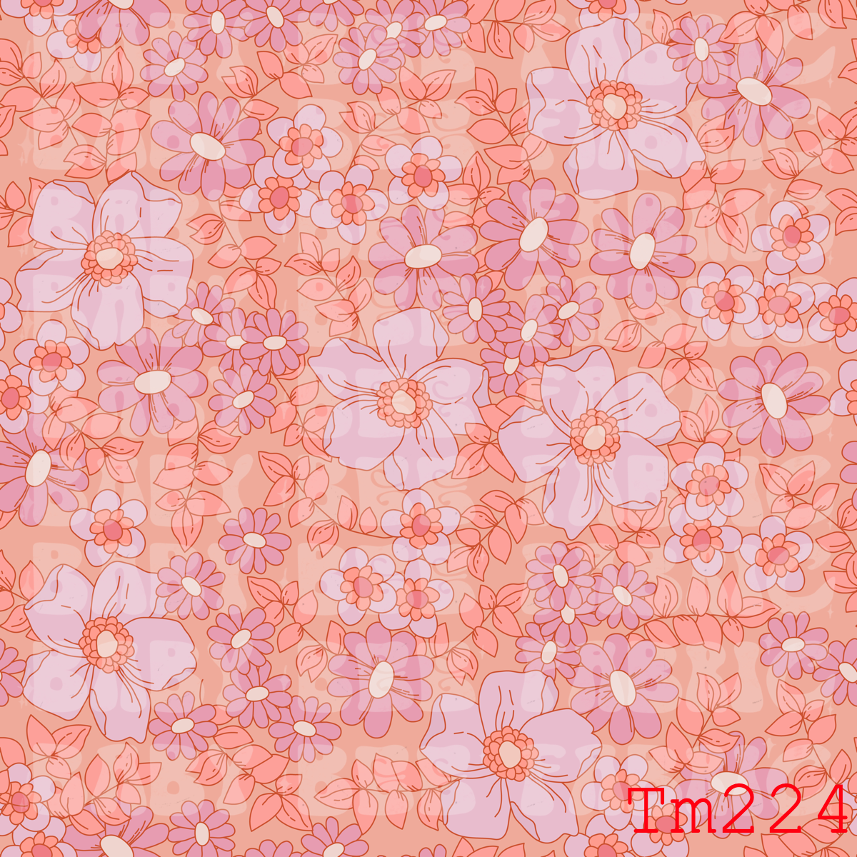 TM224
