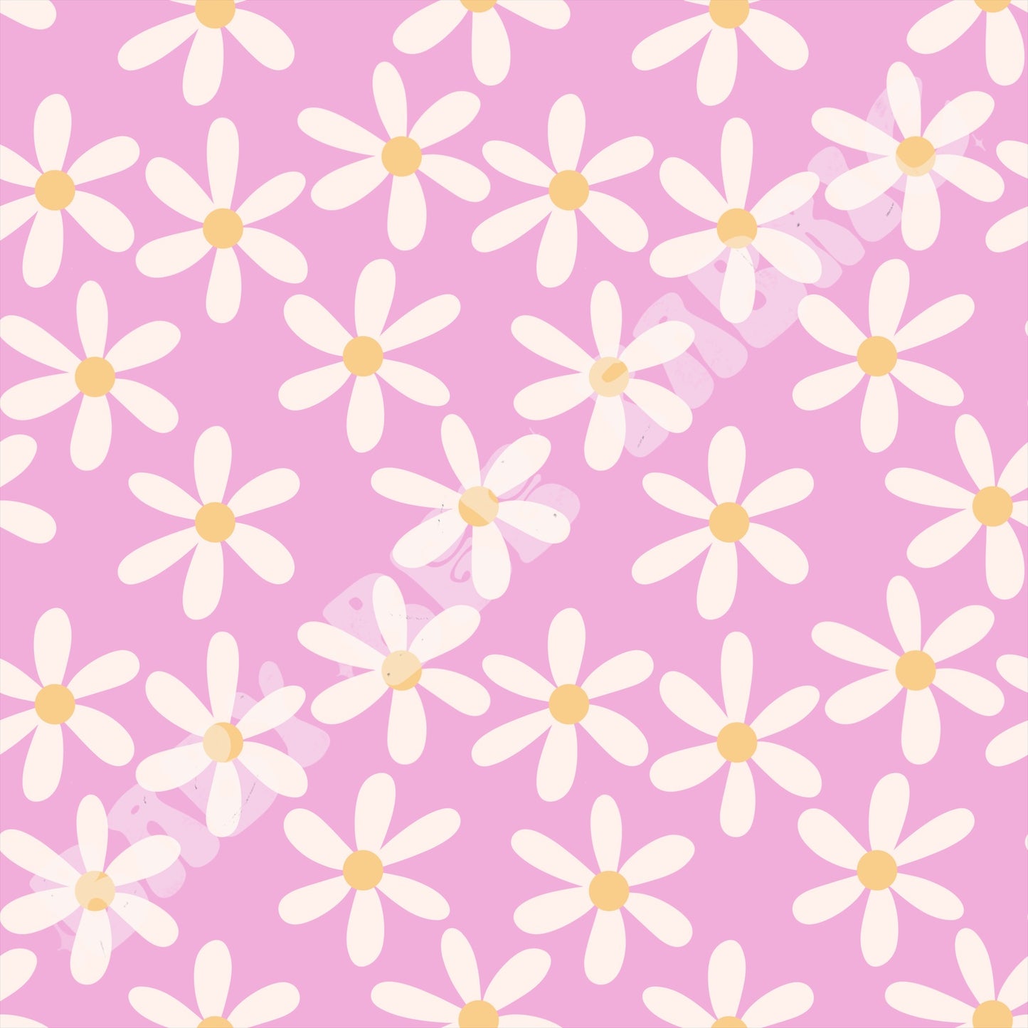Daisy On Pink