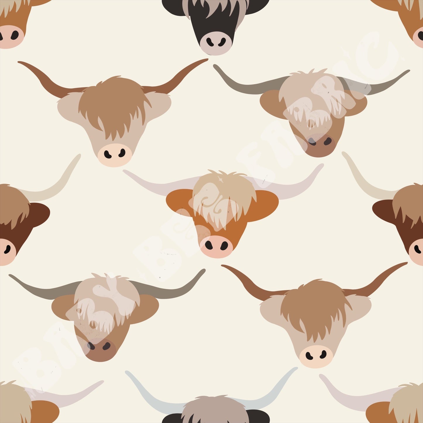Highland Cows